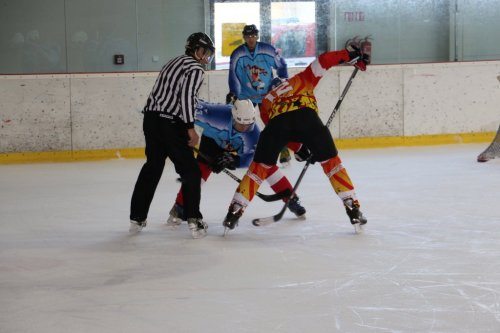 TZ Plzeňský hokejový turnaj 6  
